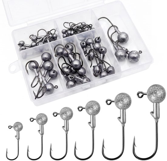 Elzusha - Loodhaken voor Visaccessoires - 50 Stuks Diverse Gewichten