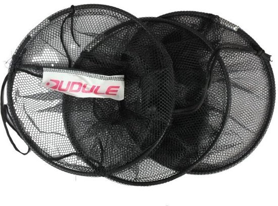 Engelse viskorf DUDULE 2 m, Visartikel, Diameter 40 cm van Sensas