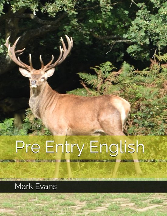 Entry English