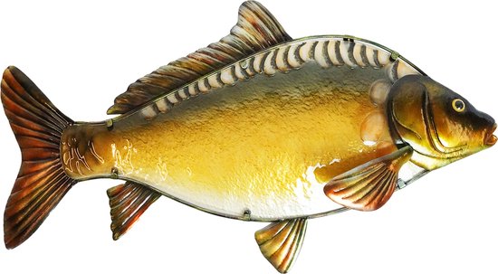 Eurocatch Glass Art - Muurdecoratie Spiegel karper 80cm - 3-D Metaal en Glas Kunst - Cadeau Idee - Mancave - Karper Beeld - Vaderdag Cadeau van Eurocatch