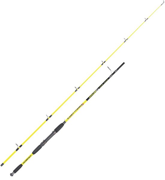 Expert Predator Barracuda Spinhengel Zilver 2.70 m / 20-60 g van Merkloos