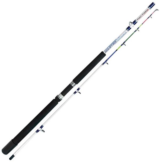 Expert Predator Master Bodemvissen Hengel Zilver 2.10 m / 100-180 g van Merkloos
