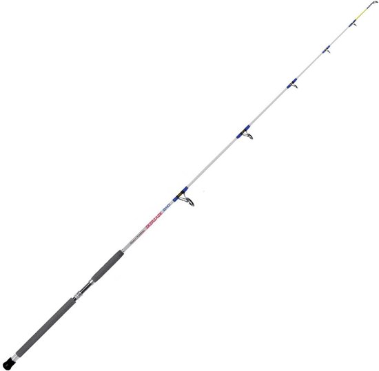 Expert Predator Skipjack Bodemvissen Hengel Zilver 2.40 m / 100-300 g van Merkloos
