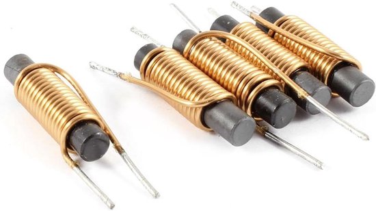 Ferriet Kern Spoelen - Radiale Inductor - Elektronische Circuits - Met Polyolefine Buizen - 6 x 30 mm - Zwart Gouden van Merkloos
