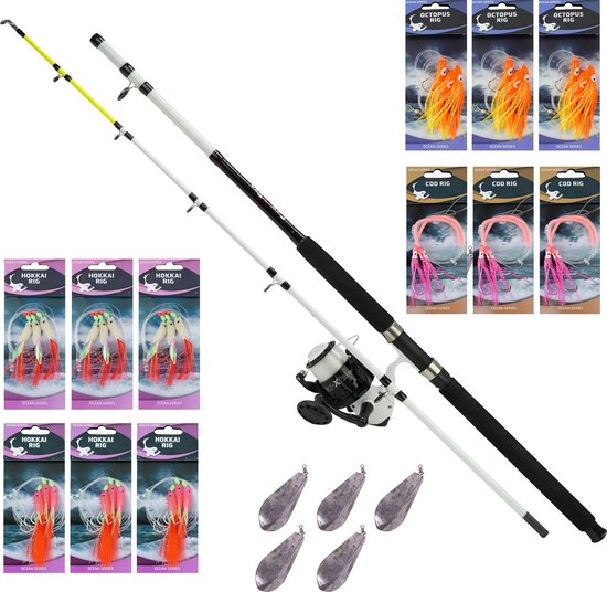 FISH-XPRO Noordzee Bootvisset compleet - Boothengel met Zeemolen - Onderlijnen - Wraklood - 19 delig van Merkloos