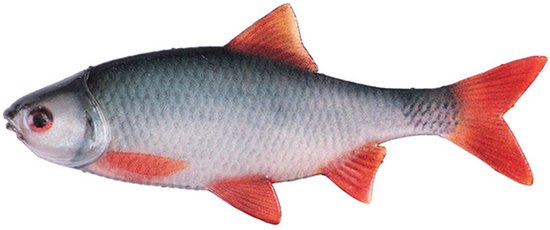 Fox Rage Ultra Natural Roach Fillet – Levensecht Softbait voor Dropshot, Jighead en Weedless Montage - Maat : 8cm