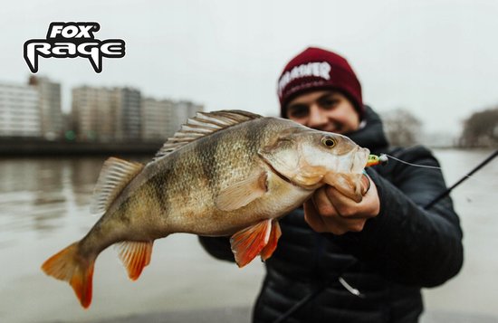 Fox Slick Shad 13 cm - Zander/Snoek Baits van Fox