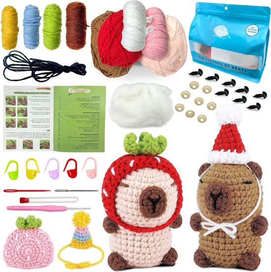 Haakset voor Beginners - 2 Stuks Haaknaalden, Compleet Haakpakket met Stapsgewijze Video-instructies, Perfect Cadeau voor Kinderen en Volwassenen van Merkloos