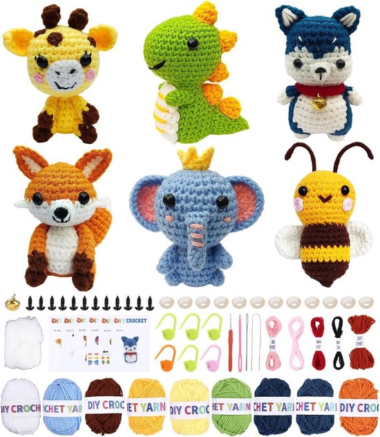 Haakset voor Beginners: Complete Set met 6 Stuks en Video Uitleg
