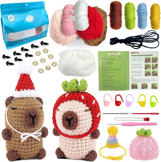 Haakset voor Beginners met 2 Haaknaalden, Compleet Haakpakket met Stapsgewijze Video-instructies, Perfect Cadeau voor Volwassenen en Creatieve Hobbyisten