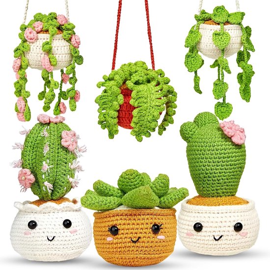 Haakset voor Beginners met 6 Stuks, Ideaal voor Planten Hangers, Cactus Haaknaald en Duidelijke Instructies voor DIY Creaties