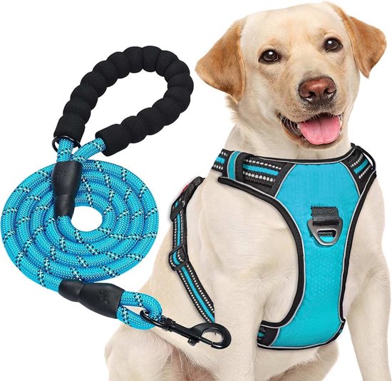 Haapaw Geen Pull Hond Harnas Verstelbare Reflecterende Oxford Easy Control Medium Grote Hond Harnas met een Gratis Heavy Duty Hond Lood