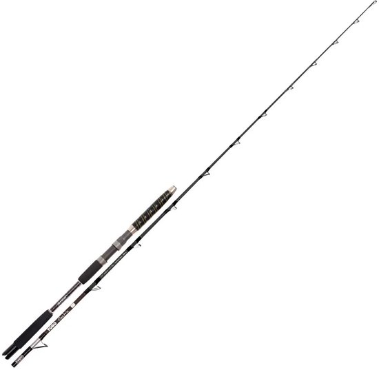 Hart Toro Electric Fk Jigging Hengel Zilver 2.20 m / 600 g