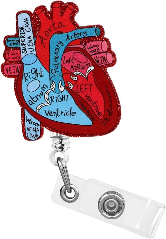 Hartvormige Badgehouder met Uittrekbare Reel - ID Kaart Clip voor Verpleegkundigen, Artsen en Studenten - Grappige Naamtag Houder met Alligator Clips