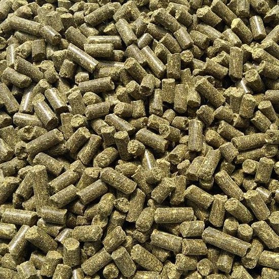 Hennep Pellets (20KG) - Karper Aas