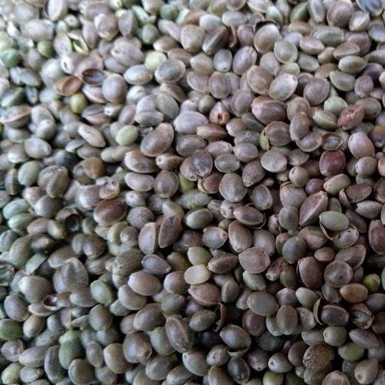 Hennepzaad (5KG) - Partikel