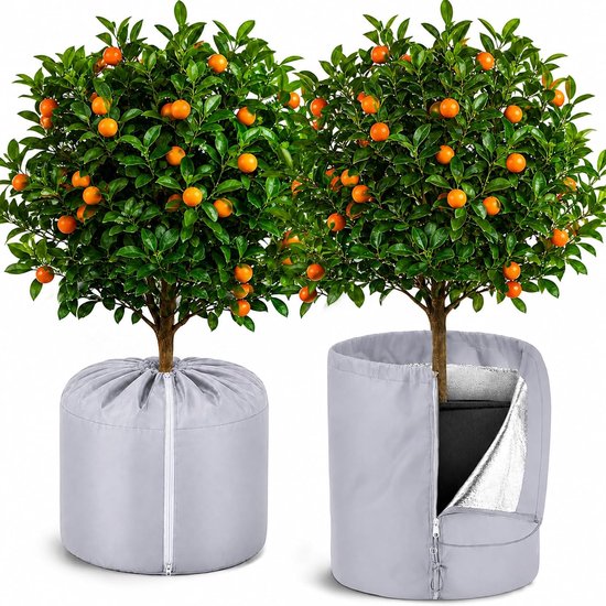 Hoes voor planten, 2 stuks, 40x35 cm