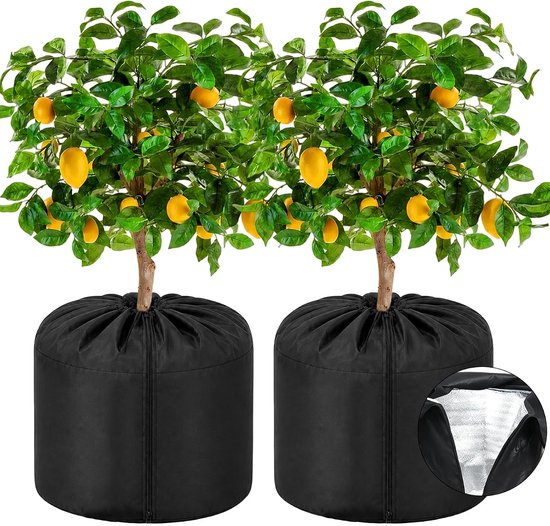 Hoes voor planten, 2 stuks, 70x65 cm