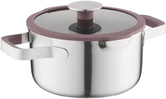 Home kookpan 20 cm – RVS kookpot met deksel, geschikt voor inductie en alle warmtebronnen, ovenbestendig en vaatwasserbestendig