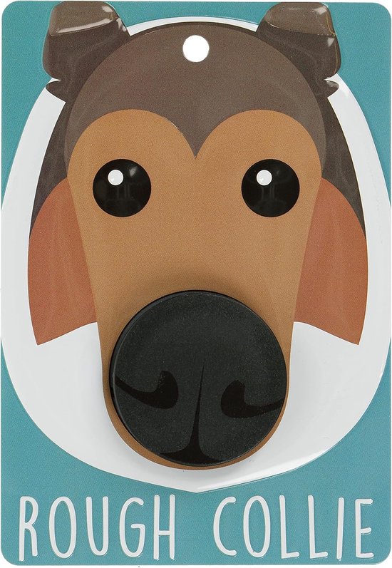 Hond Lead Houder - Wandmontage Plaque - Met Pop-Out Haak - Ideaal voor Walkies - Vemera