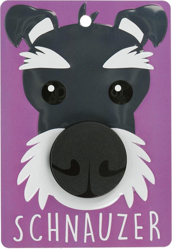 Hond Lead Houder Wandmontage - Pop-Out Haak - Duurzaam Metalen Plaque - Ideaal voor Lood en Accessoires - ServiceTopper