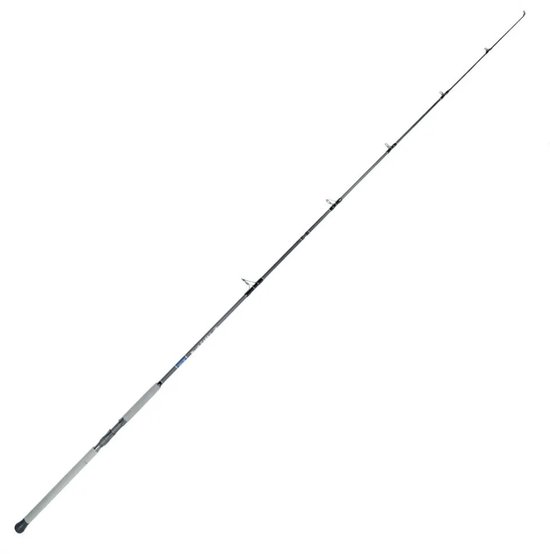 Howk Blue Care Baitcasting Hengel Zilver 3.00 m / 80-120 g van Merkloos