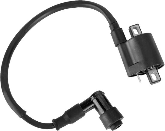 Ignition Coil 12V voor CG125, 125cc en 150cc - Betrouwbare Ontsteking voor Motoren