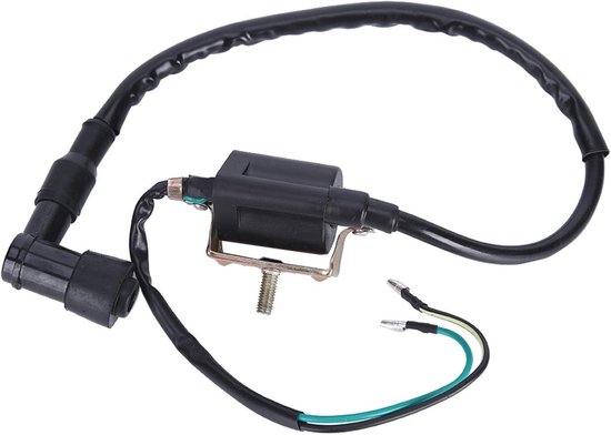 Ignition Coil 12V voor Dirt Bike - Vervangingsonderdeel voor Pit Bikes en Offroad Motoren