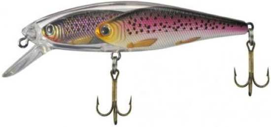 Jenzi Dragon Diver Floating - duikdiepte: 1-1,5 m - Purple trout - 9cm 13gr van Jenzi