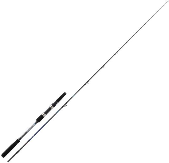 Kali Kunnan Brava Xtr Lichte Jigginghengel Zilver 2.08 m / 90-210 g