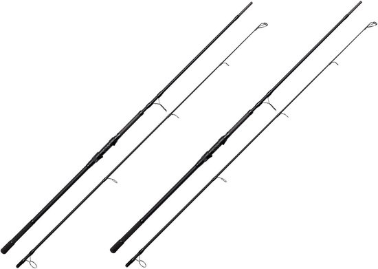 Karpfenrute Set 2X 10ft 3,00m 3,50lbs - Compacte Constructie - Krachtige Carbon Blank - Ideaal voor Stalkers - ShopVlot