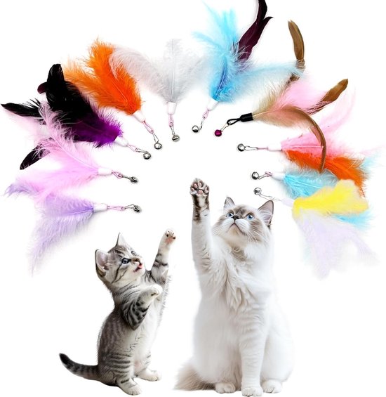 Kattenhengel - Multicolor - 20 cm - Veeropzetstukken - Voor Kittens en Volwassen Katten