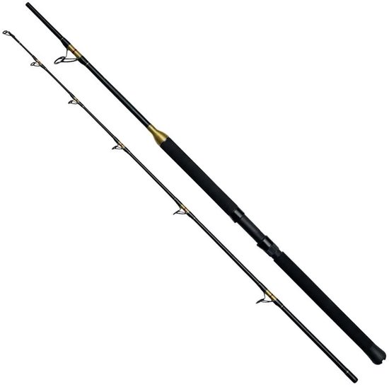 Kinetic Brutalis Fs Bodemvissen Hengel 2 Stukken Zwart 2.02 m / 100-400 g