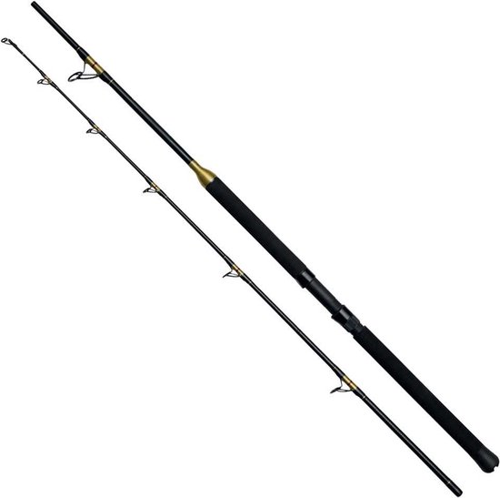 Kinetic Brutalis Fs Bodemvissen Hengel 2 Stukken Zwart 2.02 m / 200-600 g