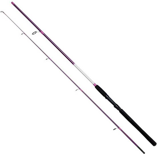 Kinetic Fantastica-q Cc Spinhengel Zwart 2.75 m / 20-60 g van Kinetic