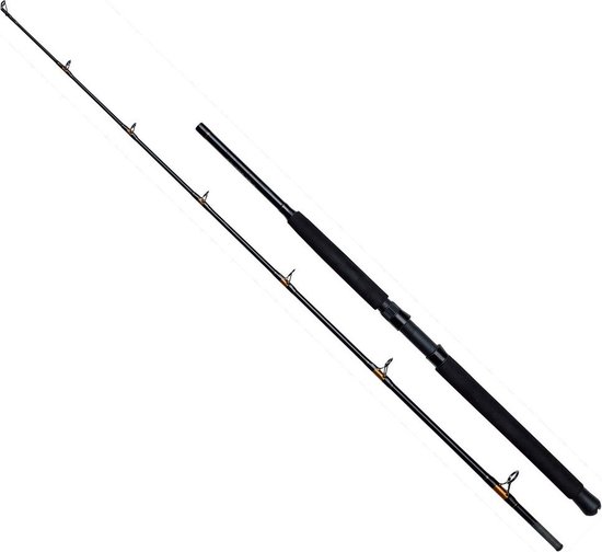 Kinetic Powercore Cc Bodemvissen Hengel Zwart 2.02 m / 100-400 g