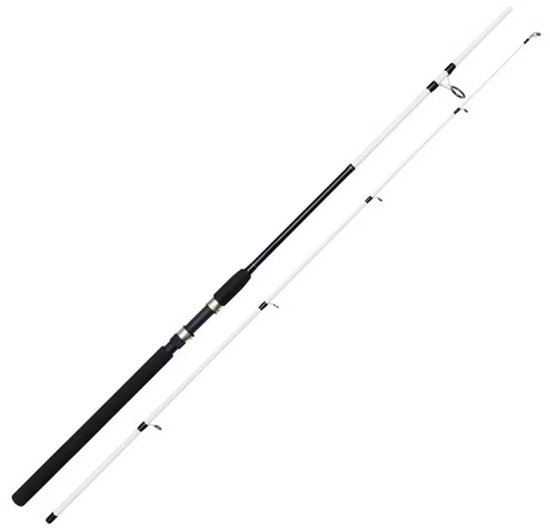 Kinetic Witcher Salt Cc Spinhengel Zilver 2.70 m / 20-60 g