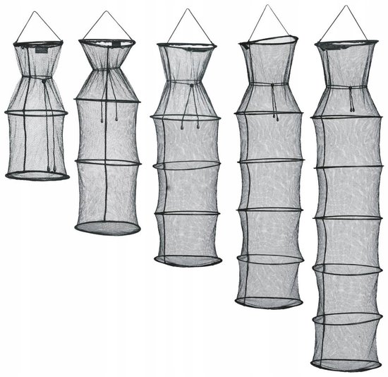 Kings Withered met de ring 35/150cm
