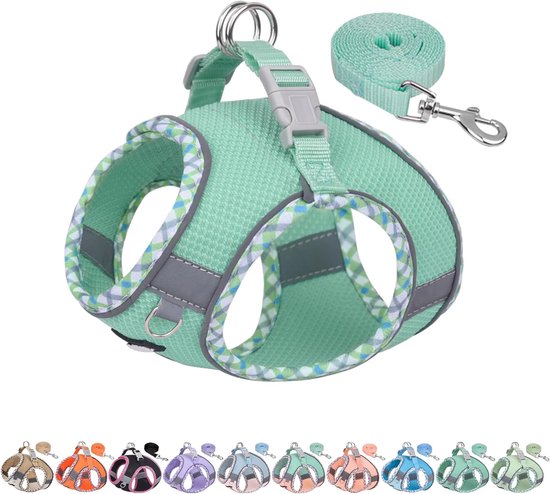 Klein hondentuigje, lichtgewicht mesh-instapvest voor puppy's, reflecterend, ontsnappingsbestendig ontwerp met Velcro, voor binnen en buiten, voor chihuahua, maltees, shih tzu (turkoois, XXXS)