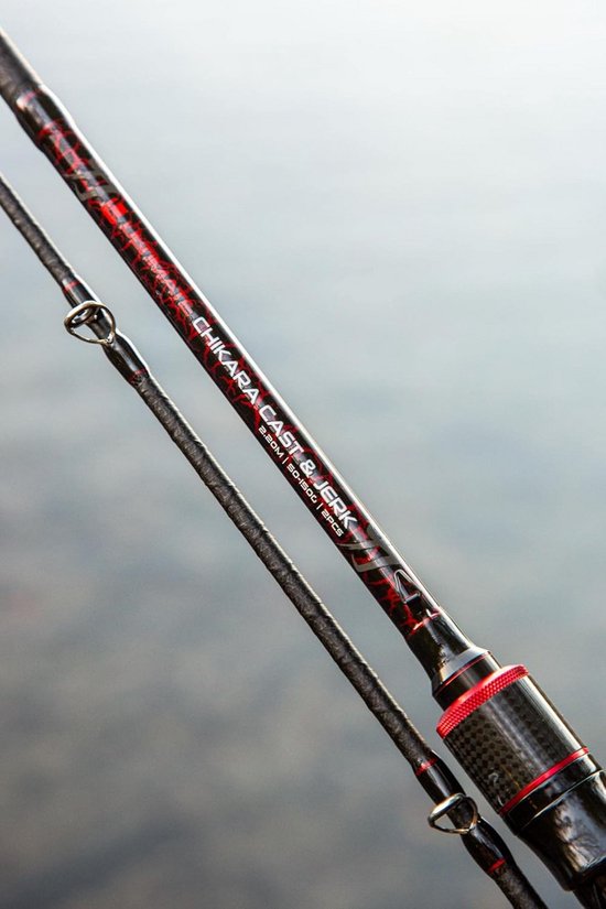 Krachtige Baitcasting Hengel 2,20m 50-150g voor Zware Kunstaas en Snoek