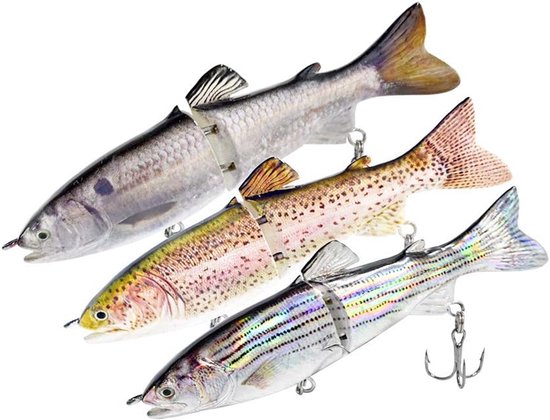 Kunstaas Set - Vis Lokaas - Forel Vissen - Levensechte 3D Ogen - 13cm 23g - Kit 2 van Merkloos