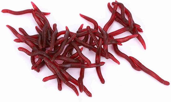 Kunstwormen VIsaas - Zachte Lokaas Regenworm - Vissen Vangen - Realistische Zwemactie - 4 cm - Rood