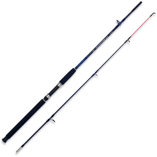 Lineaeffe Caspian Pro Spinhengel Zilver 2.40 m / 250 g