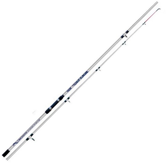 Lineaeffe Coast Slinger Surfcasting Hengel Zilver 3.60 m / 200 g