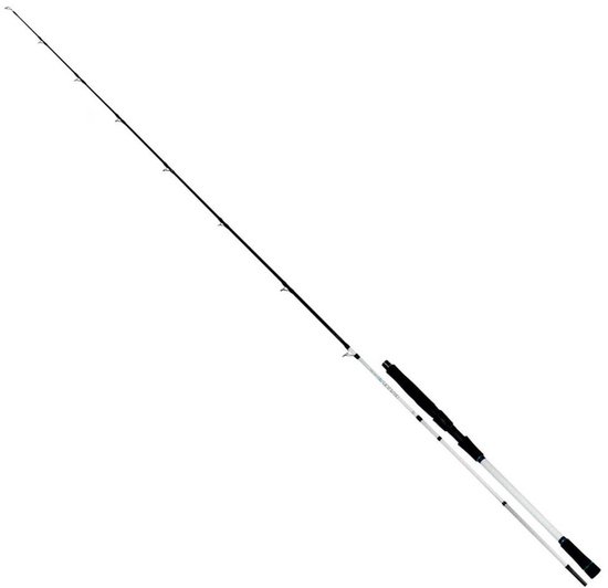 Maver Dragonair Shore Jigging Hengel Zilver 2.50 m / 15-80 g van Merkloos