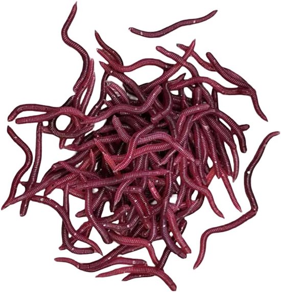 Messeneuheit 2025 Levensechte kunstregenwormen | regenworm imitatie | kunstmatige dauwworm | rubber regenworm rubber | kunstworm | wormaas | worm silicone