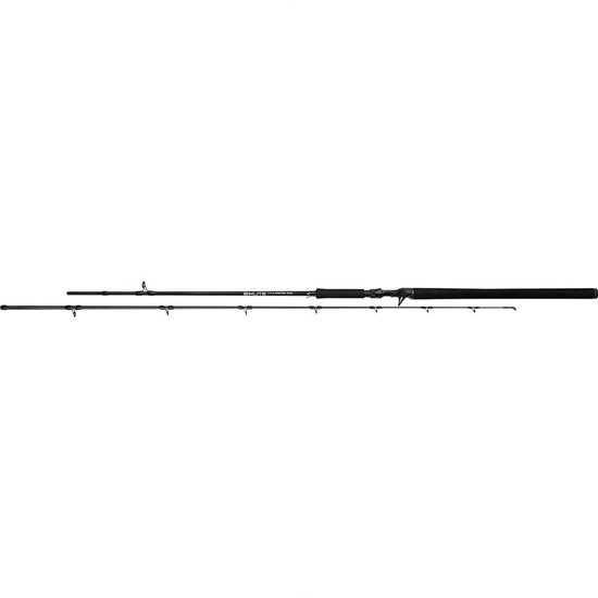 Mikado Bixlite Pike Master Baitcasting Hengel Zilver 2.40 m / 25-75 g van Merkloos