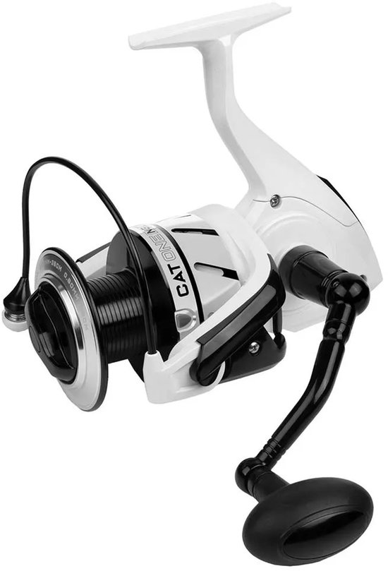 Mikado Catone Ng Meervalmolen Zilver 8010FD