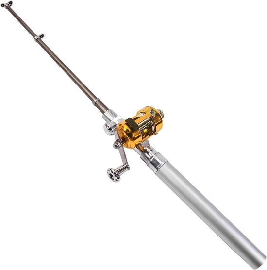 Mini-hengel met gouden vismolen in een zilveren pen. van Merkloos