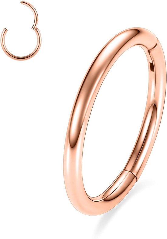 Nose rings 20G 18G 16G 14G 12G 10G - titanium - naadloos ontwerp - comfortabel en veelzijdig - Vemera